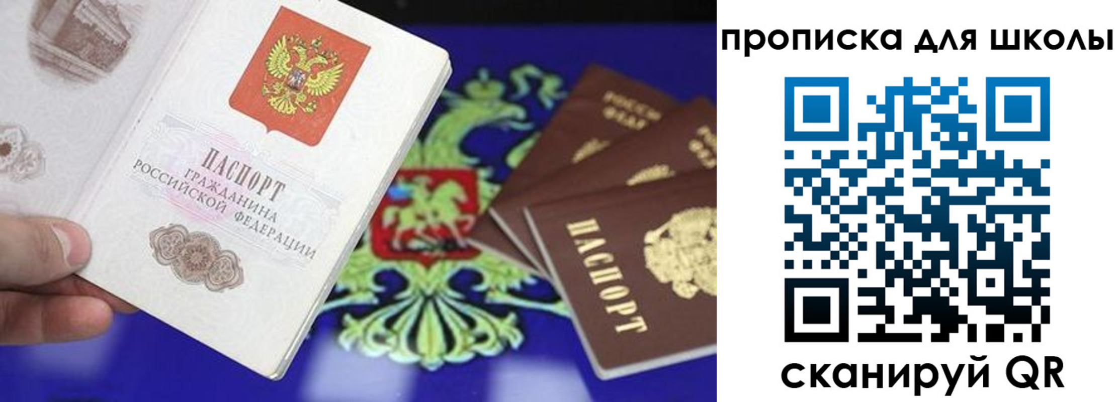 прописка в квартире в Жирновске